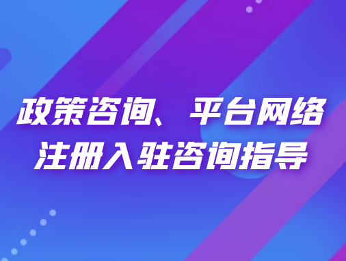 政策咨詢、平臺網(wǎng)絡注冊入駐咨詢指導